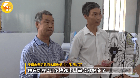 陕南|“绿 红 黑 白” 陕南富民产业转型升级的“密钥”