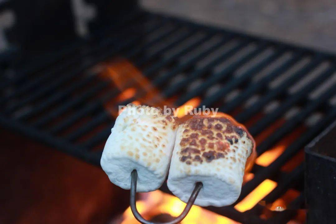 Ruby|139.『Ruby美食』一起去露营go camping～户外露营美食：晚餐篇