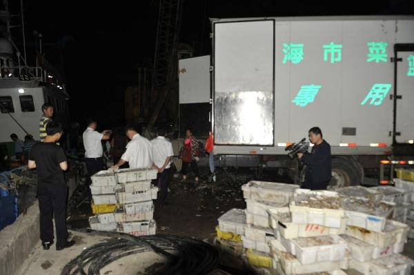 崇明|非法捕捞17吨梭子蟹 5人被刑事拘留