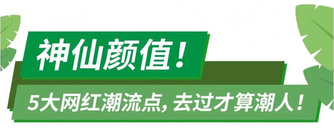 宠儿|解锁广州潮人打卡五大“宠儿”，反手给你一组潮流大片！