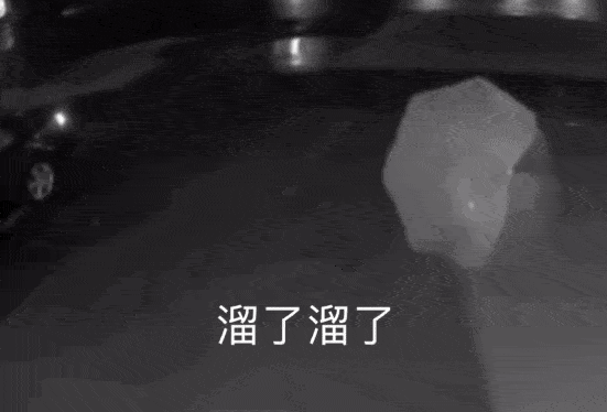 刚考完驾照的我突然想去学开船