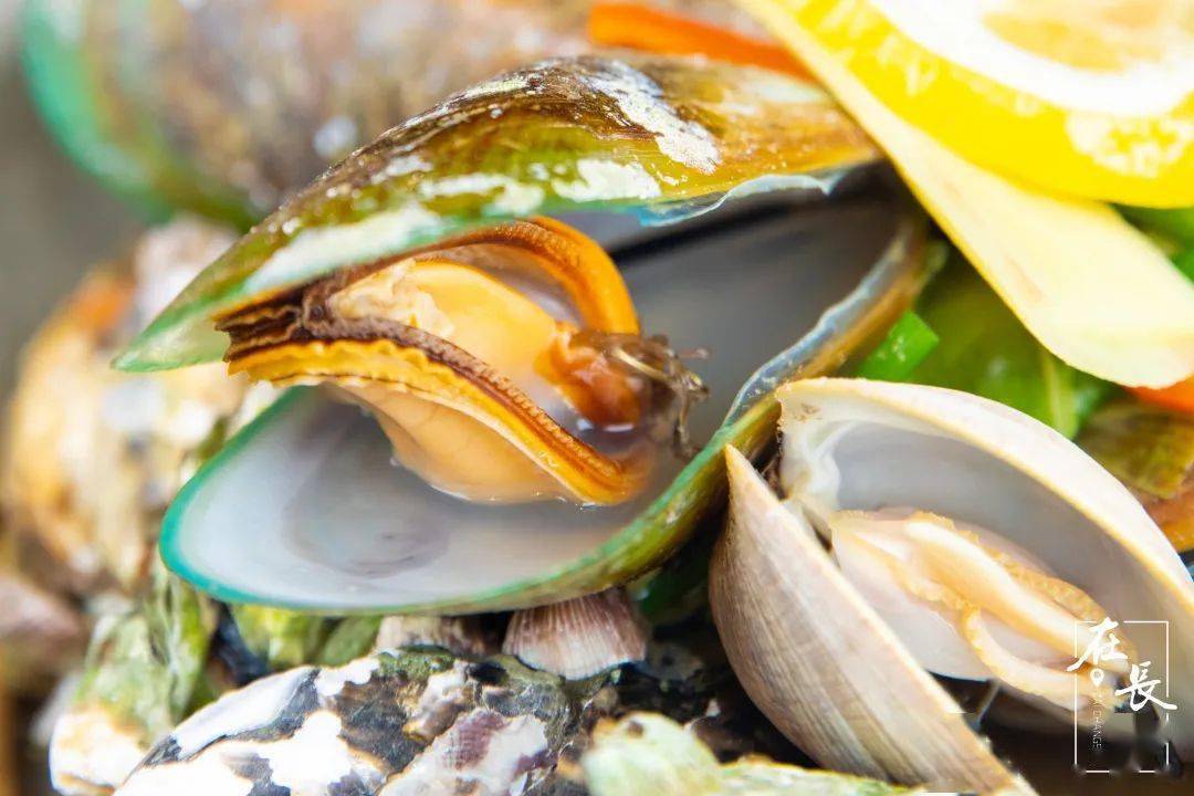 长沙|是什么来头?开业就爆店!惊现长沙海鲜烧烤界的新星之秀