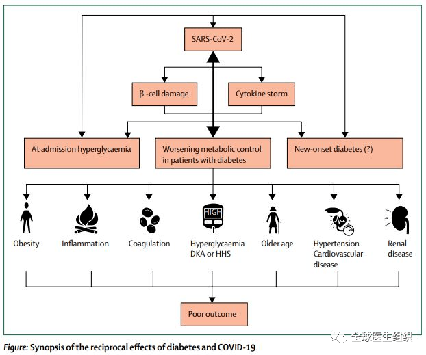 病毒||必看|新冠病毒疾病与糖尿病之间的“难解之缘”