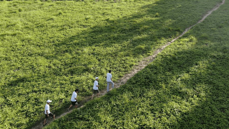 荔枝|广东IT男辞职世界500强回乡，孵化荔枝IP让价格翻了十几倍