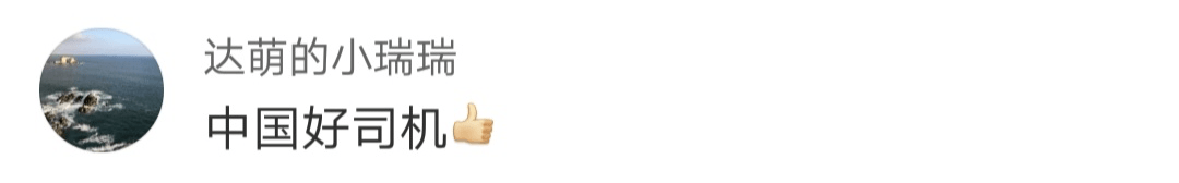 货车|大货车加油站附近起火，司机一路鸣笛开“火车”冲出闹市……| 成风化人