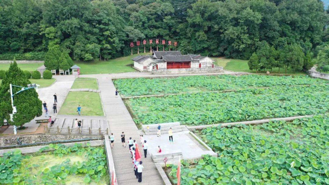 从古田会址到梅花山虎园只需8分钟_红豆杉