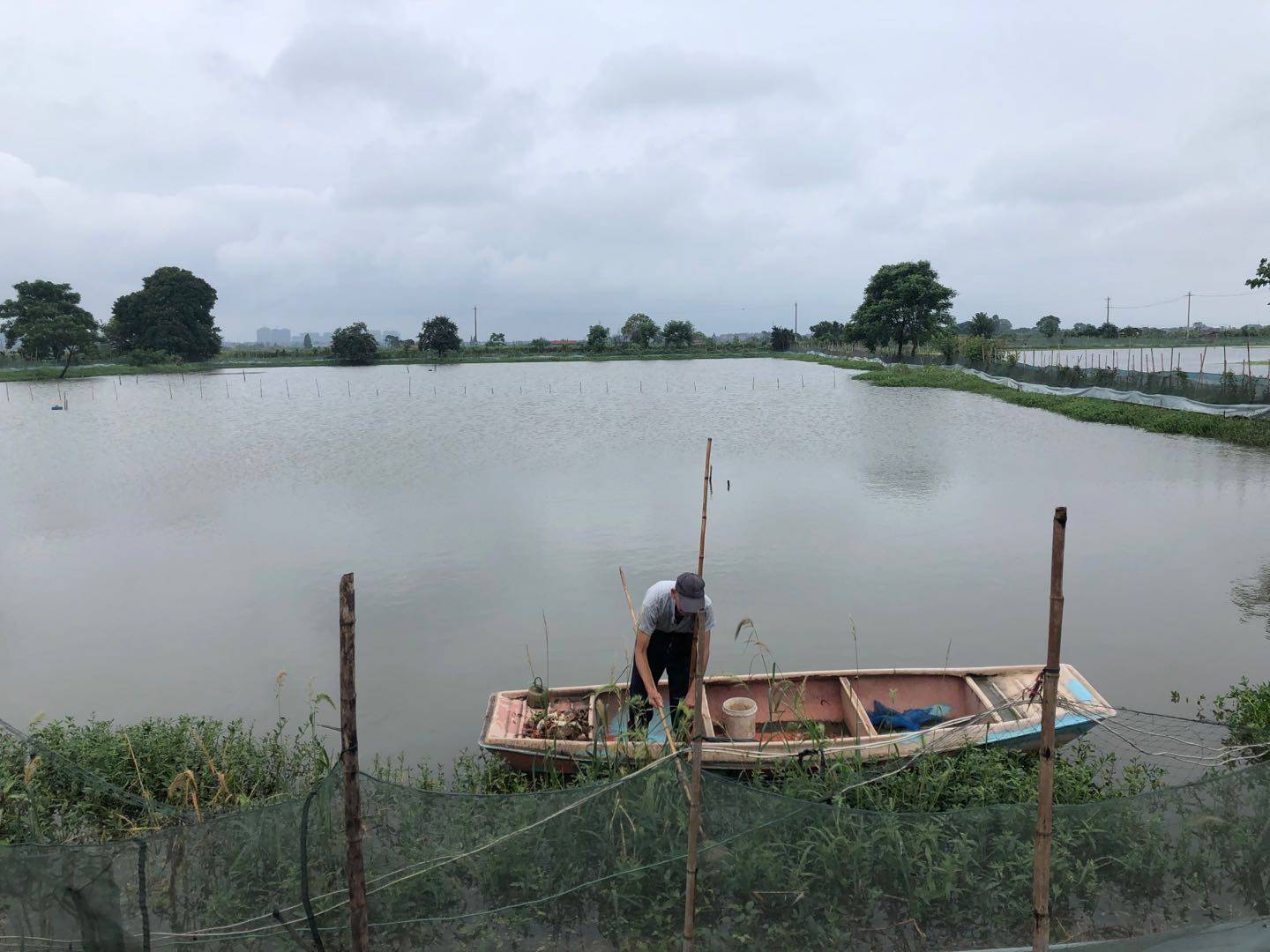 淤泥质土湖北第一大湖洪湖的水灾之困2021年4月15日(5)