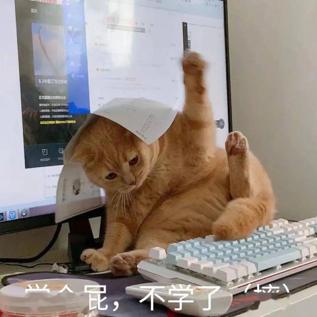 沙雕表情 | 偷心盗贼不请自来