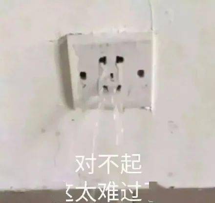 闲置|伊能静卖“原味”T被追着骂？扒完她的土味闲鱼，我却黑不动了……