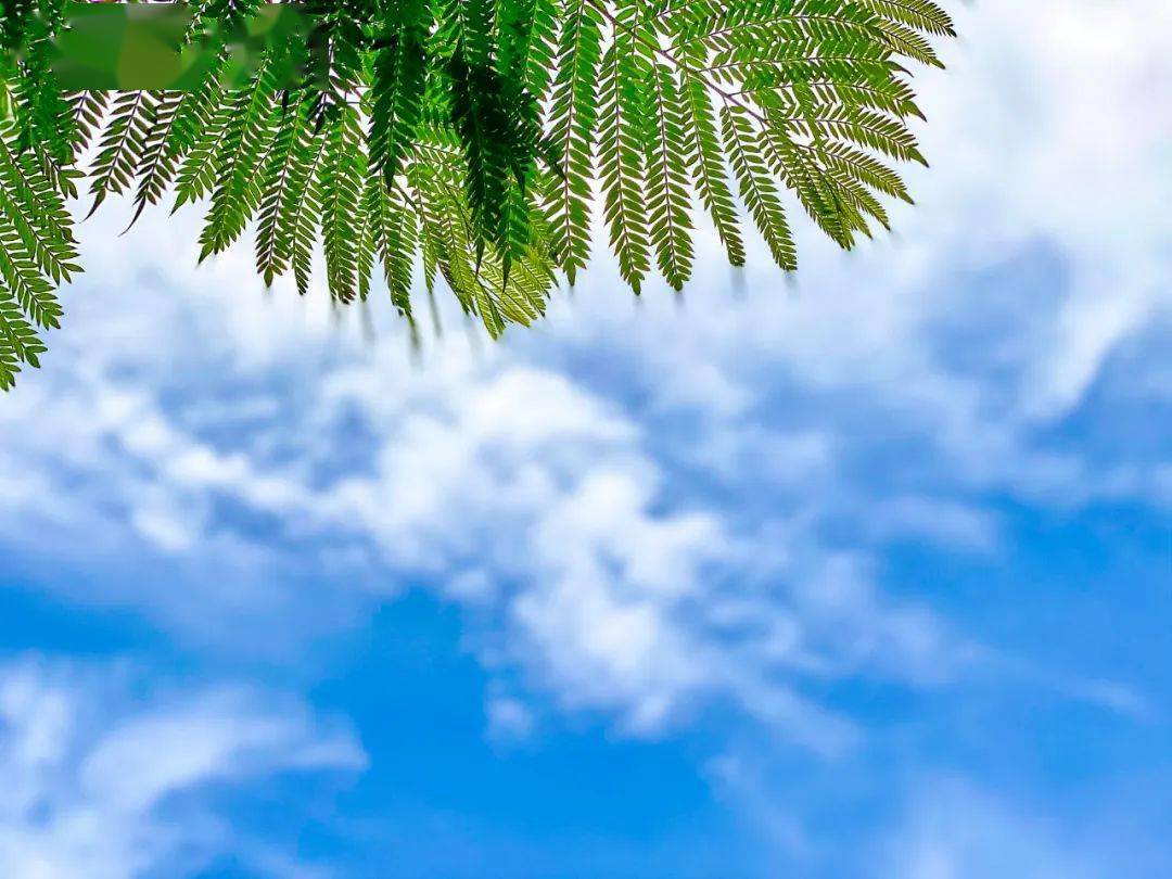 之前欠泸州的大太阳接下来都要还给你了