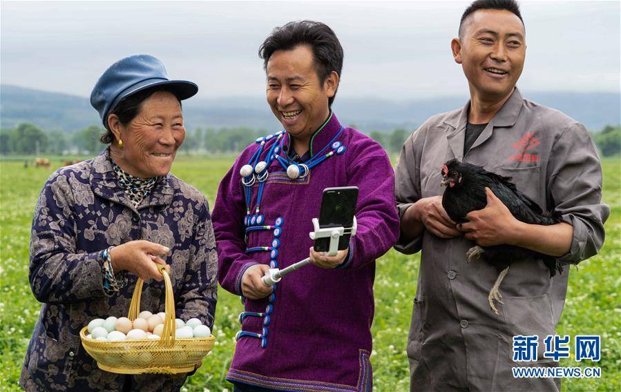 新华社|高原彝乡：“飞鸡”孵出“致富蛋”