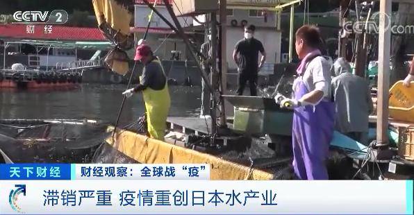 水产业|每公斤0.65元！这种日料店常见的鱼价格暴跌！吃货们急了