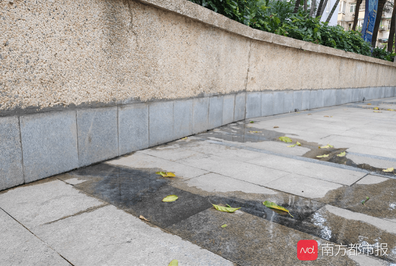 小区|广州一小区遭隔壁污水流入，粪臭味持续两个月