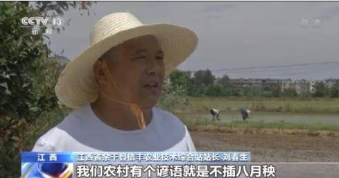 信丰垦殖场|防汛抢种两不误 江西余干抢种水稻超24万亩