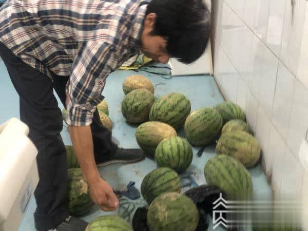 西瓜|汛情影响销路，南京中学老师帮助学校社工销售六千斤西瓜