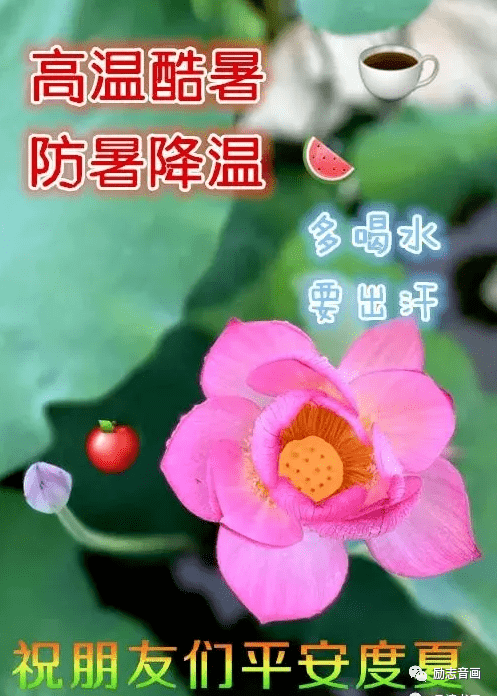 早晨漂亮祝福图 早上好问候句子