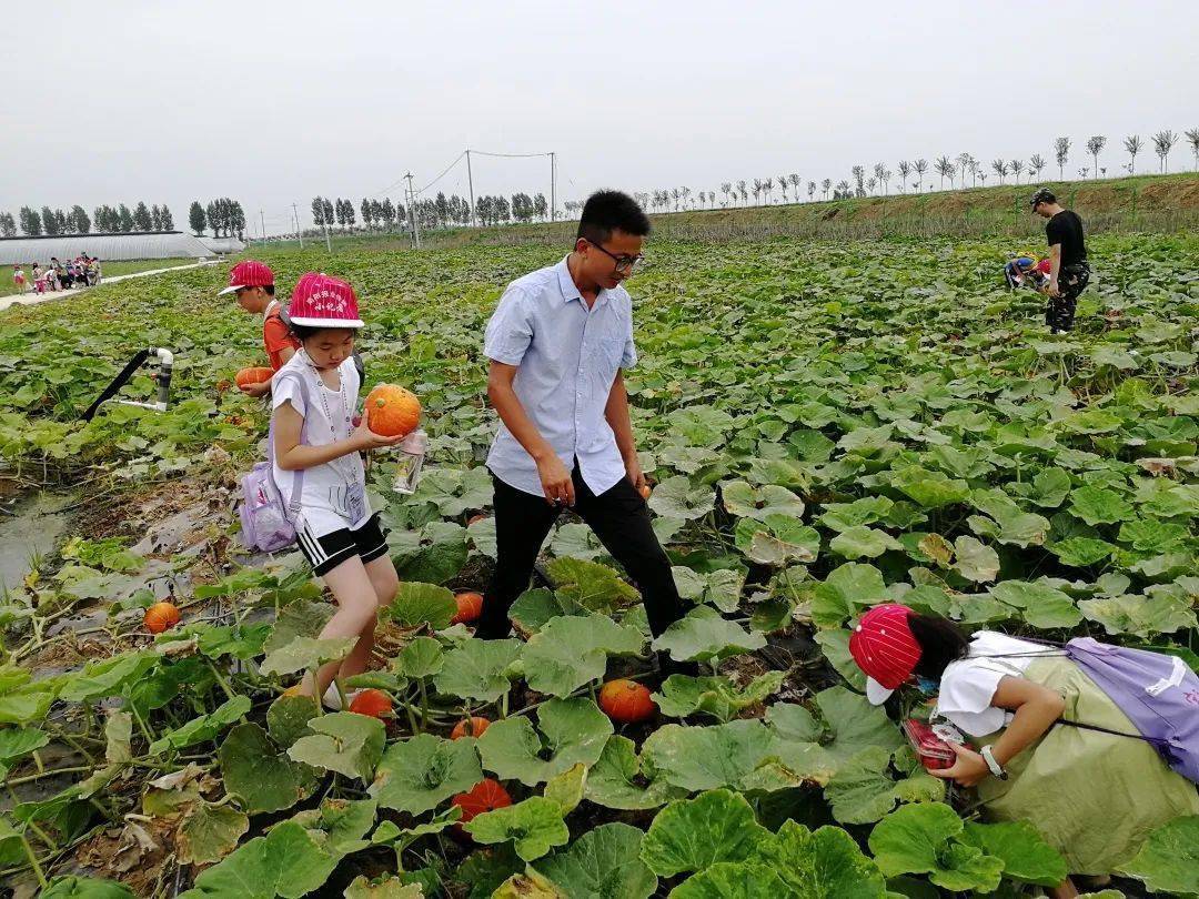 小记者活动对话范仲淹拜师孔子现代牧场观光体验农场采摘乐趣小记者