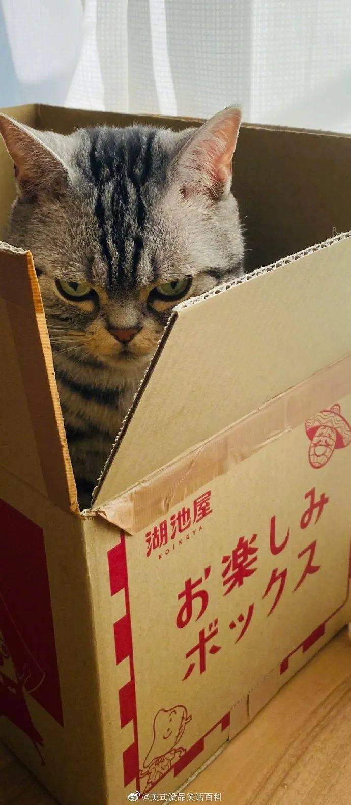 以牙还牙,加倍奉还!