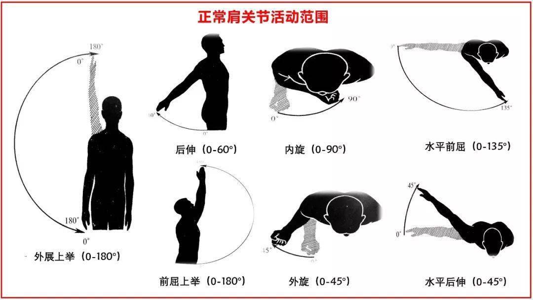 科普：肩周炎的基本知识，看这一篇文章就够了 活动