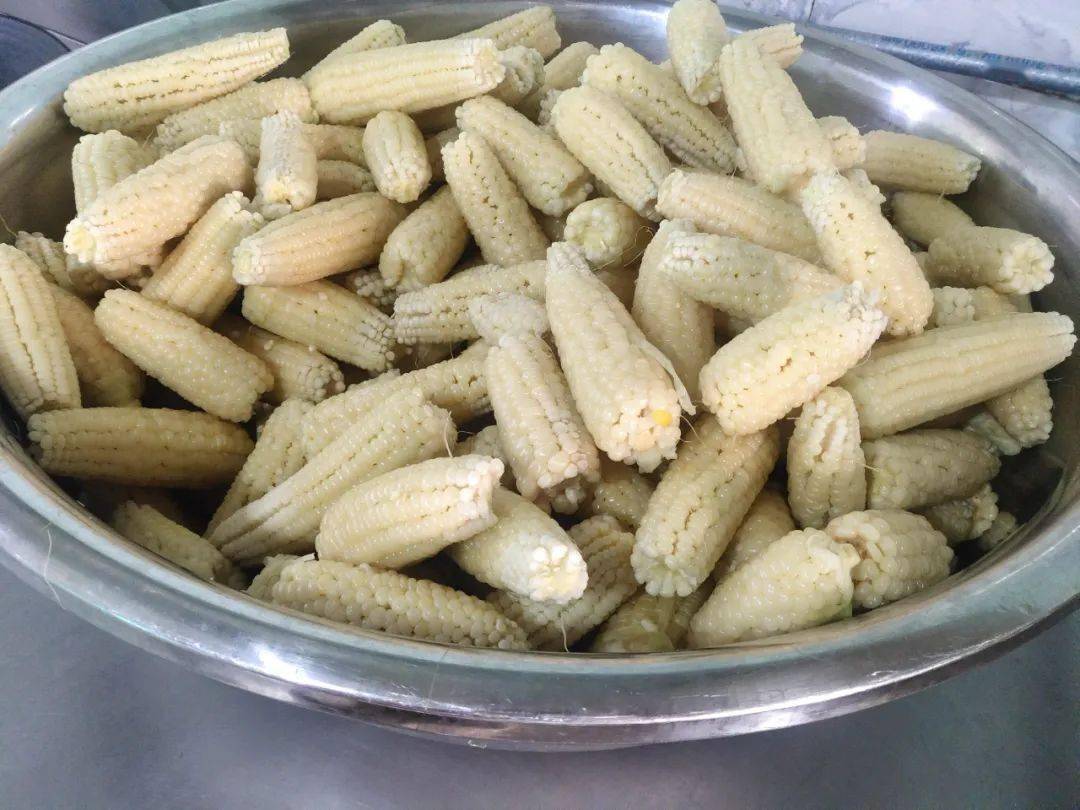 员工|到华新“开心农场”采摘去！大暑