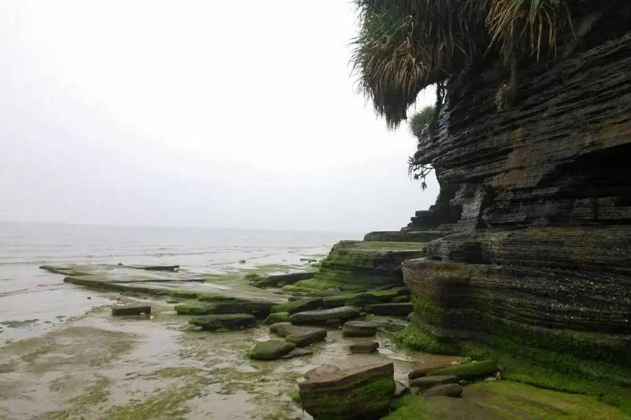 03 海蚀平台海蚀崖是海边的悬崖峭壁,是在海浪长期冲蚀下,基岩不断