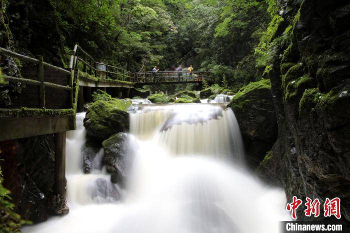 陕西牛背梁自然保护区流水潺潺风景如画