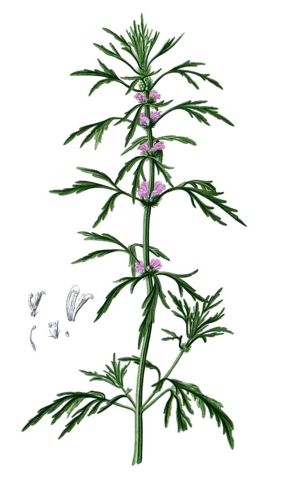 黑色素|广告商特别叮嘱我们，这篇推送的图片不许PS