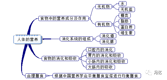 初中生物:七年级上下册课本思维导图,预习必备好帮手