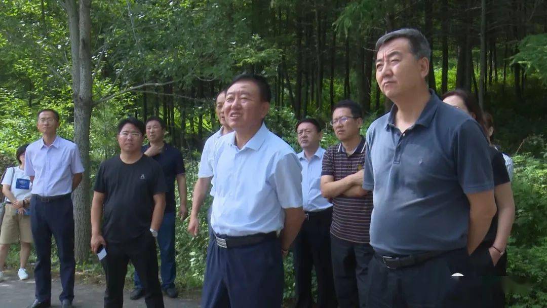 市政协主席孙旭东来桓调研