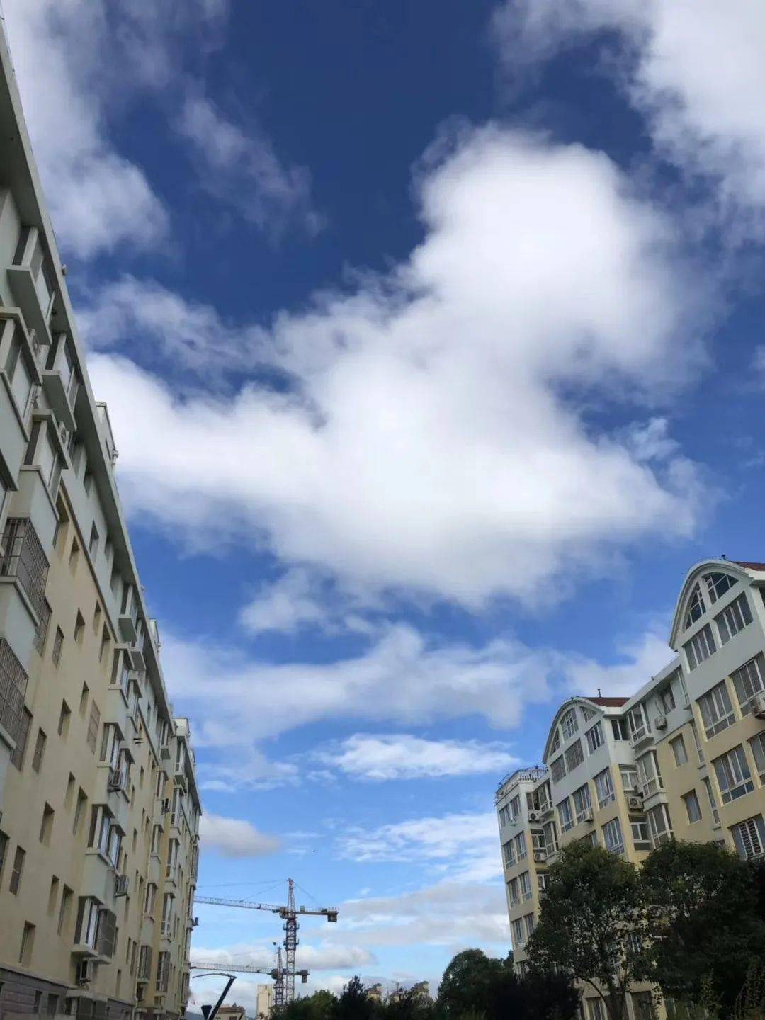 雨后天晴再遇彩虹有一种美叫日照