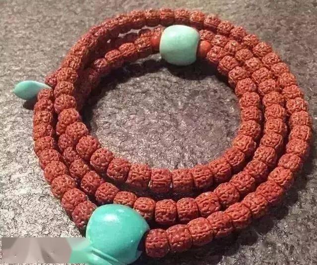 要点|菩提搭它，惊艳！