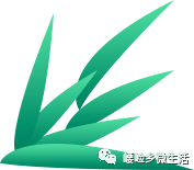 致富创业项目_创业致富经_致富创业项目在家开厂