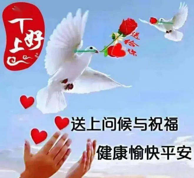 唯美阳光的早安问候祝福表情包图片,正能量早上好问候