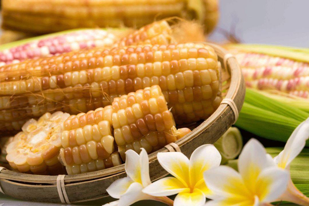 解药|解药很甜思念很玄