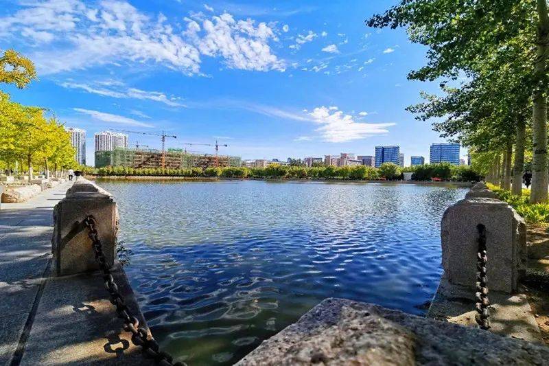 烟台|招生季 | 烟台大学文经学院“拍了拍”你招生简章了解一下