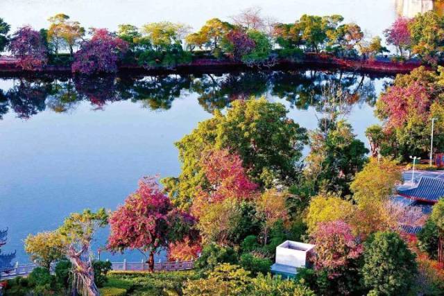 惠州|苏东坡的“两个西湖”