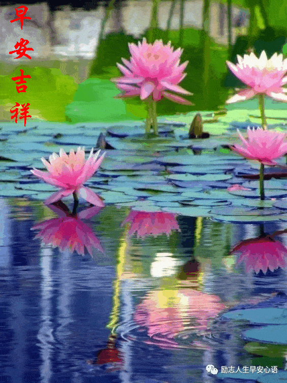 564_752 竖版 竖屏