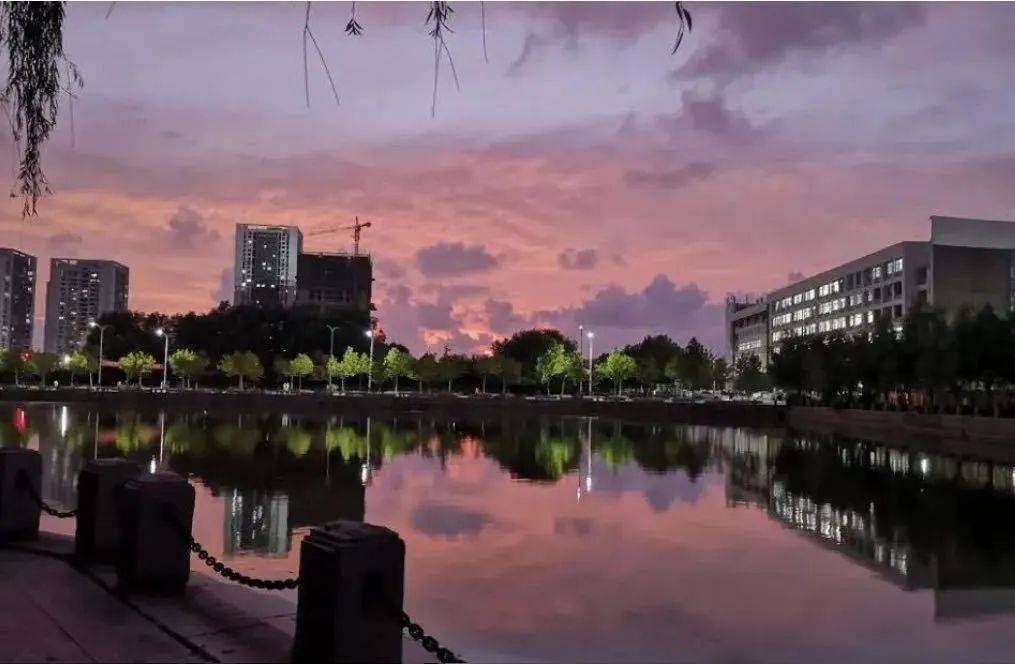 烟台|招生季 | 烟台大学文经学院“拍了拍”你招生简章了解一下