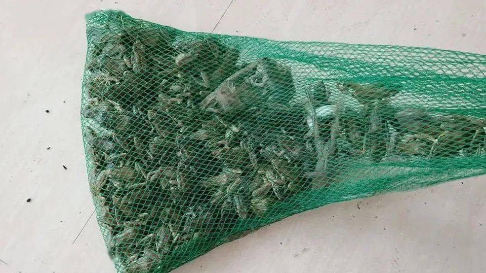 刚刚,一场"头脑风暴"席卷义马市委组织部