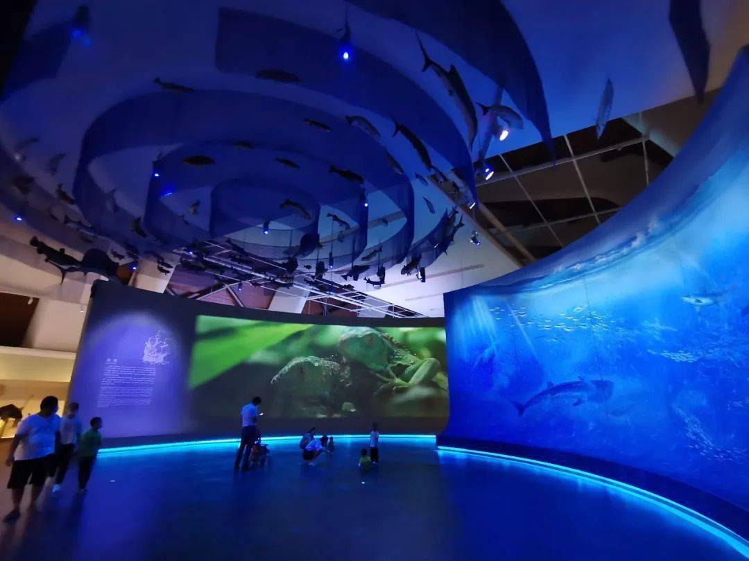 国家海洋博物馆建筑外侧还配套了夜景灯光,通过光影效果充分展现建筑