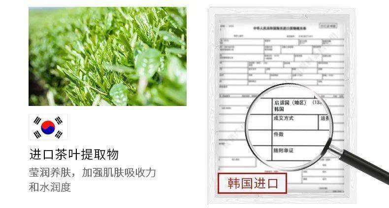 张天|张天爱比杨幂会“撩”?让小奶狗痴迷的她,到底有啥不一样?