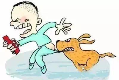 突然传出一声惨叫,家人听到声音赶来,发现老人被家中所养的狗咬住左脸