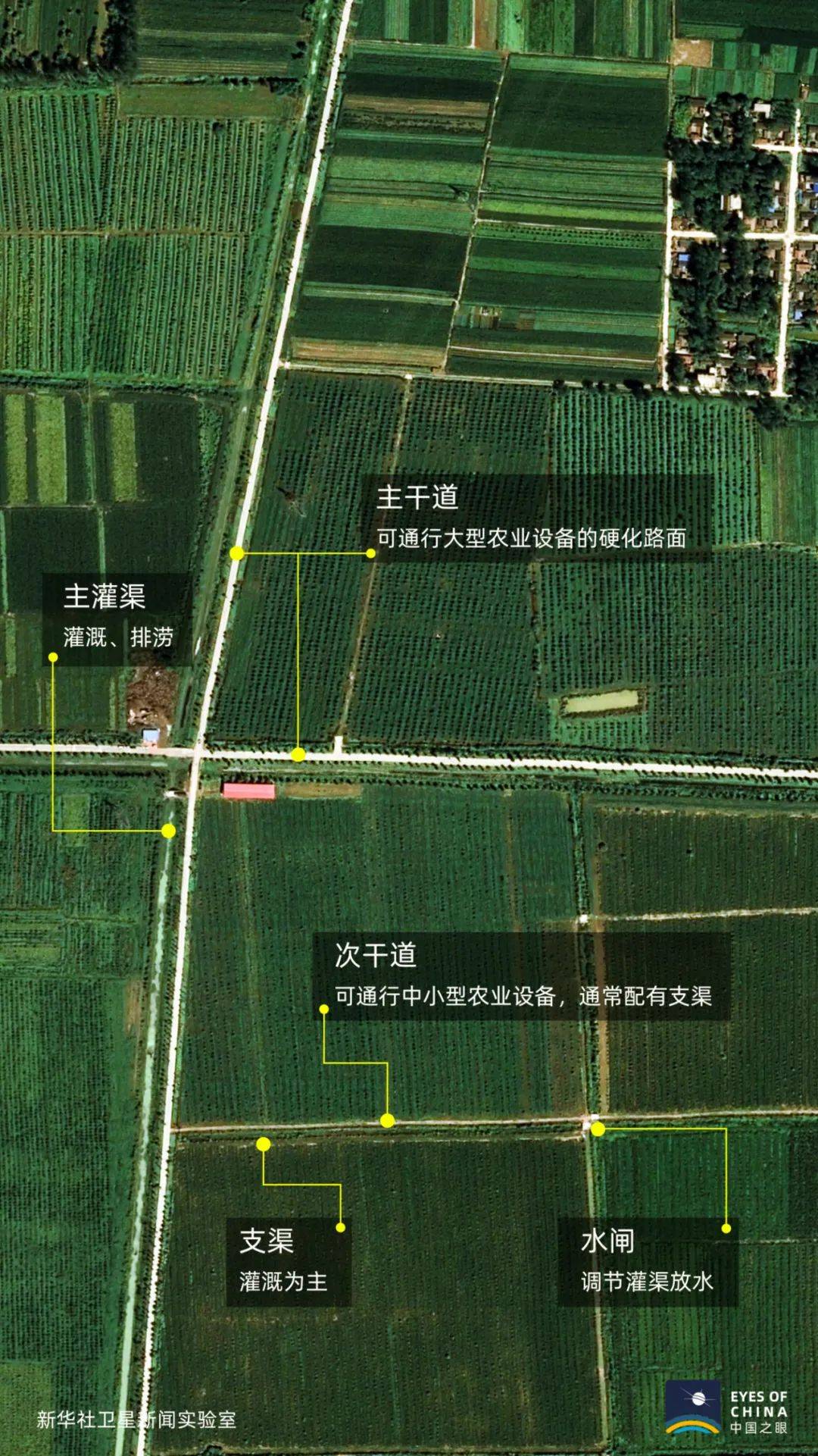 农田|地还是那些地，夏粮为何屡创新高？卫星发现一个秘密