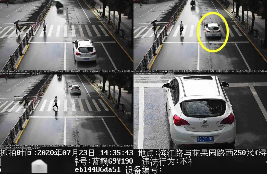 2020年赣州和九江的G_莫露露九江车展图片