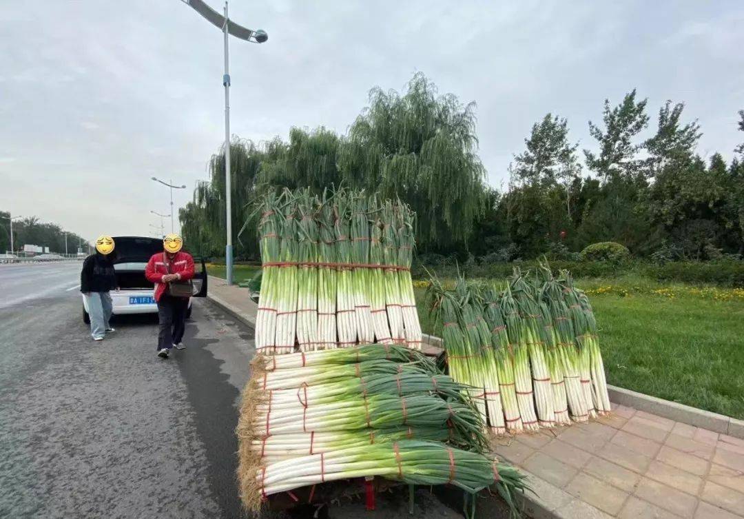 章丘人口多少_章丘大葱