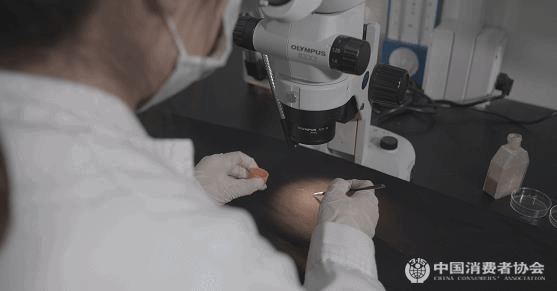 测试|20款除螨产品比较试验：戴森、美的除螨率超过90%；松下表现最差