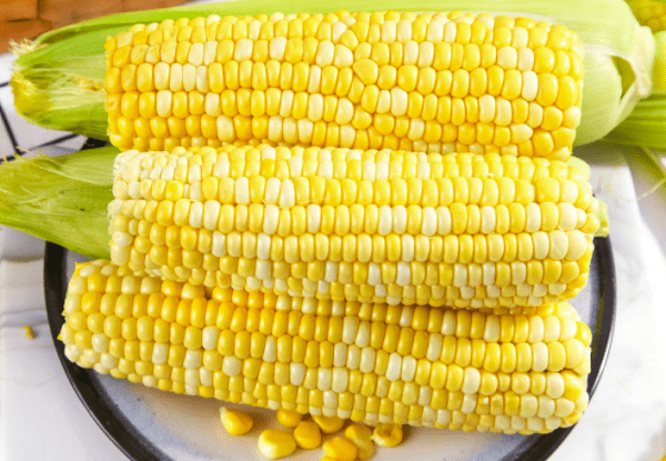 气血|多吃这几种食物轻松排湿夏季体内湿气重