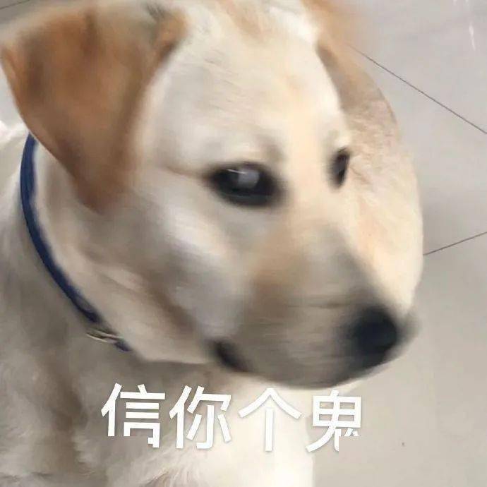 每晚准时沙雕表情包
