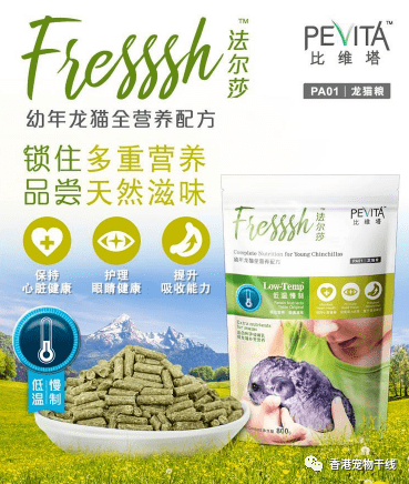 主人|龙猫应该吃什么?主人可千万别搞错!