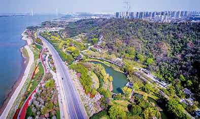 2020年7月1日,在南京小西湖片区,一名居民走过改造一新的共享花园.